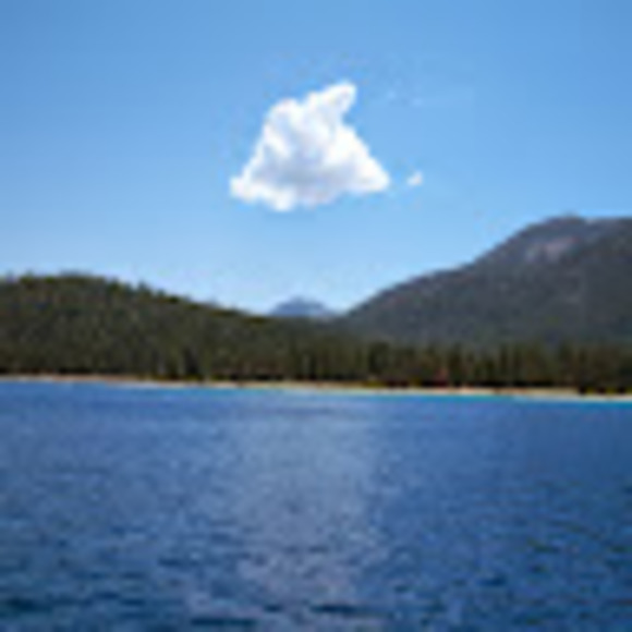 Meet your Posher, Donald - Picture 1 of 1